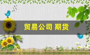 贸易公司 期货(贸易公司期货套期保值)_https://www.wguangz.com_广期所_第1张